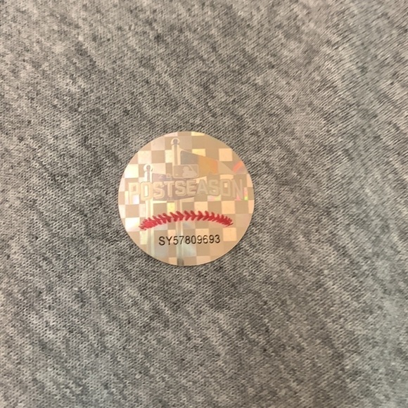 Chicago Cubs 2016 MLB Baseball World Series Champions Gray Tee Size L NWT - Picture 5 of 5